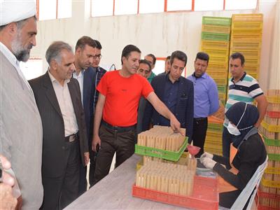 بازديد فرماندار و سرپرست معاونت هماهنگي امور اقتصادي از شهرک صنعتي بلداجي